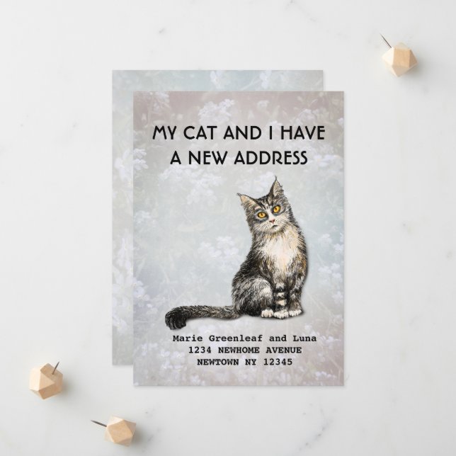 Mitt katt och jag har flyttat Meddelande (Fram/Back In Situ)