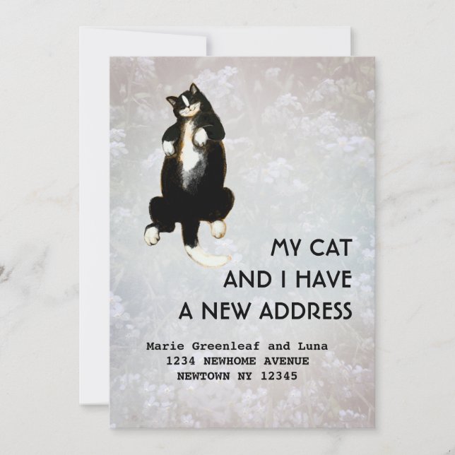 Mitt katt och jag har flyttat Meddelande (Framsida)