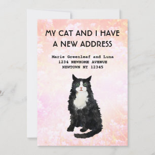 Mitt katt och jag har flyttat Meddelande
