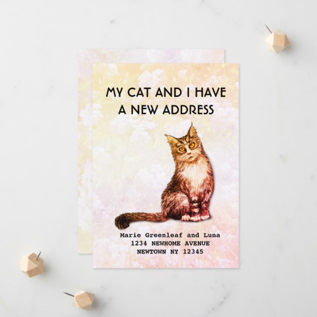 Mitt katt och jag har flyttat Meddelande (Fram/Back In Situ)