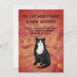 Mitt katt och jag har flyttat Meddelande