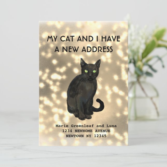 Mitt katt och jag har flyttat Meddelande (Stående Fram)