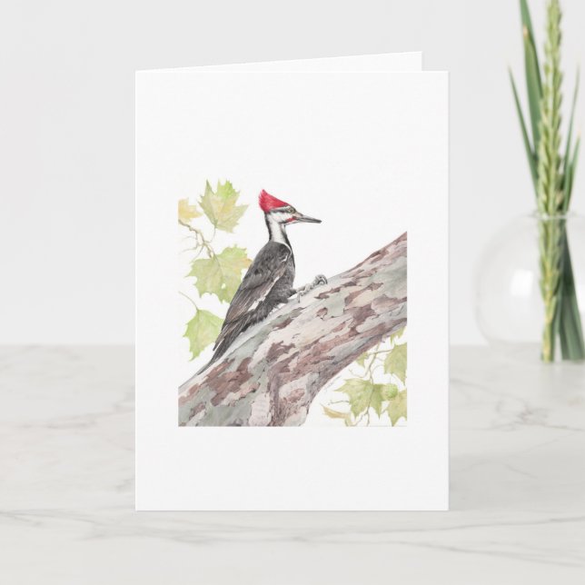 Mitt kort - Pileated Woodpecker - tomt inuti (Framsida)