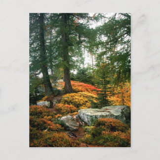 MITT LIV ÄR INTE LODRÄTS TIMME VYKORT