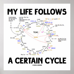 Mitt liv följer en viss cykel (kretsloppscykel) poster