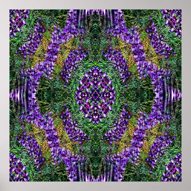 Mitt medicinhjul... poster (Framsidan)