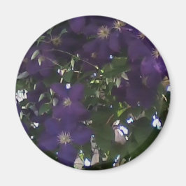 Mitt Mobila mobilfoto av Mamma Clematis Magnet