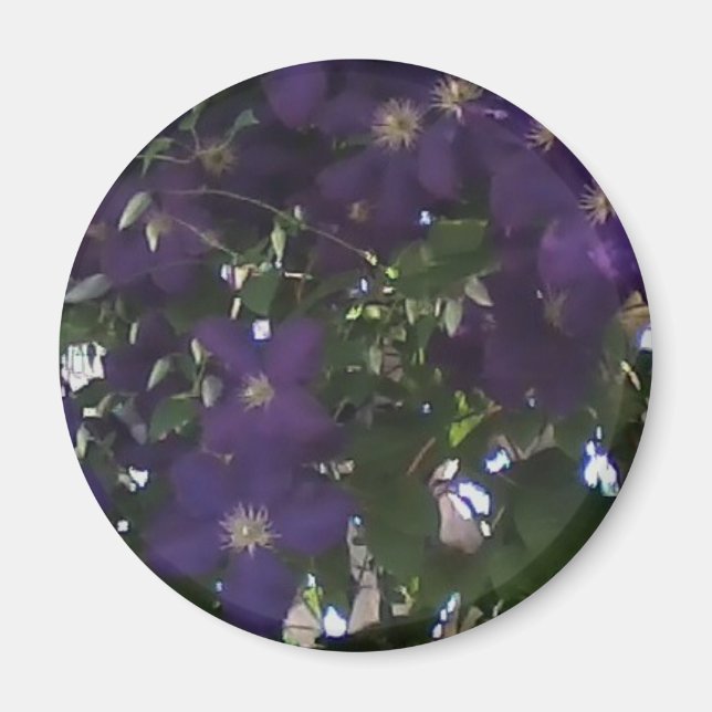 Mitt Mobila mobilfoto av Mamma Clematis Magnet (Framsidan)