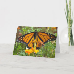 Mitt Monarch Butterfly-greeting-kort Kort