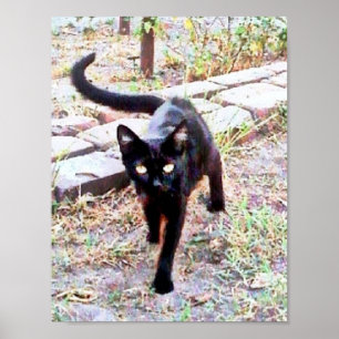 Mitt namn är Kitty Poster