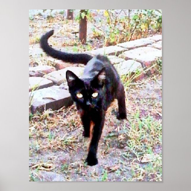 Mitt namn är Kitty Poster (Framsidan)