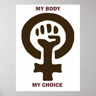 Mitt primat poster