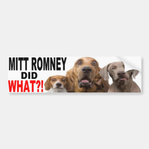 MITT ROMNEY GJORDE VAD?! Hund på takBILDEKAL Bildekal