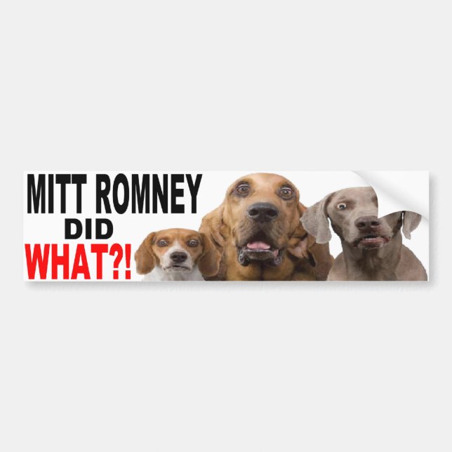 MITT ROMNEY GJORDE VAD?! Hund på takBILDEKAL Bildekal (Framsidan)
