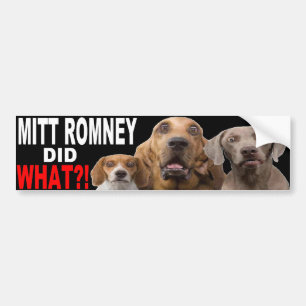 MITT ROMNEY GJORDE VAD?! Hund på takBILDEKAL Bildekal