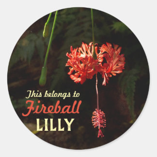 Mitt Saker med japansk Lantern Runt Klistermärke