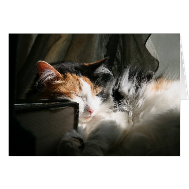 Mitt solstråle hälsningskort (Framsidan Horizontal)