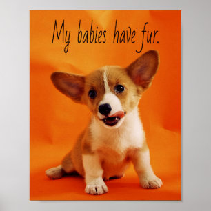 Mitt spädbarn har päls hund, söta valpar, valpar poster