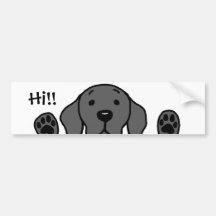 Mitt svart lab "högt!! ",