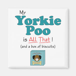 Mitt Yorkie bajs är allt det! Magnet