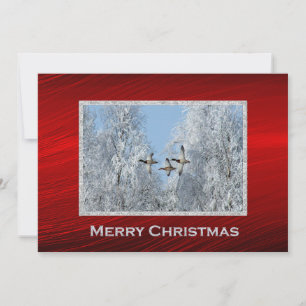 Mittard Ankor, Snö, fotopapper, julklapp Julkort