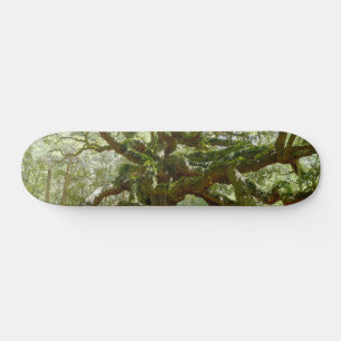 Mitten Angel Oak Skateboard Bräda 19,5 Cm