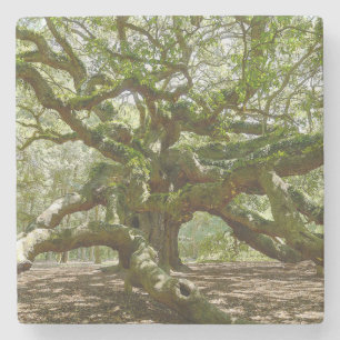 Mitten Angel Oak Underlägg Sten