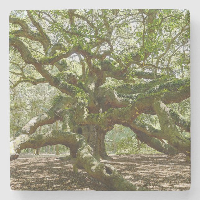 Mitten Angel Oak Underlägg Sten (Framsidan)