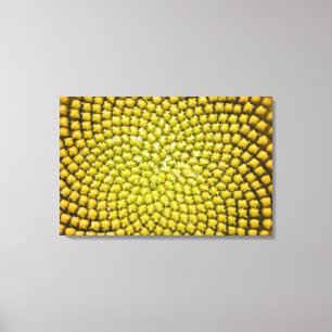 Mitten av jättesolros (Helianthus annuus) Canvastryck