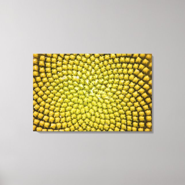 Mitten av jättesolros (Helianthus annuus) Canvastryck (Framsida)