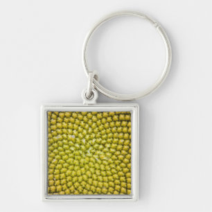 Mitten av jättesolros (Helianthus annuus) Fyrkantig Silverfärgad Nyckelring