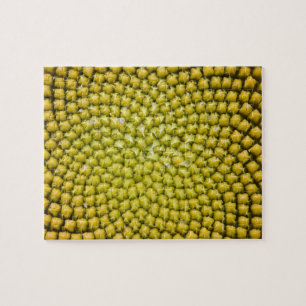 Mitten av jättesolros (Helianthus annuus) Pussel