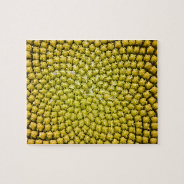 Mitten av jättesolros (Helianthus annuus) Pussel (Horisontell)