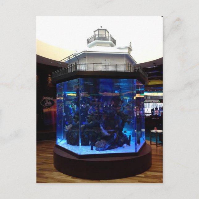 Mitten Bay fyr Fish Tank Vykort (Framsida)