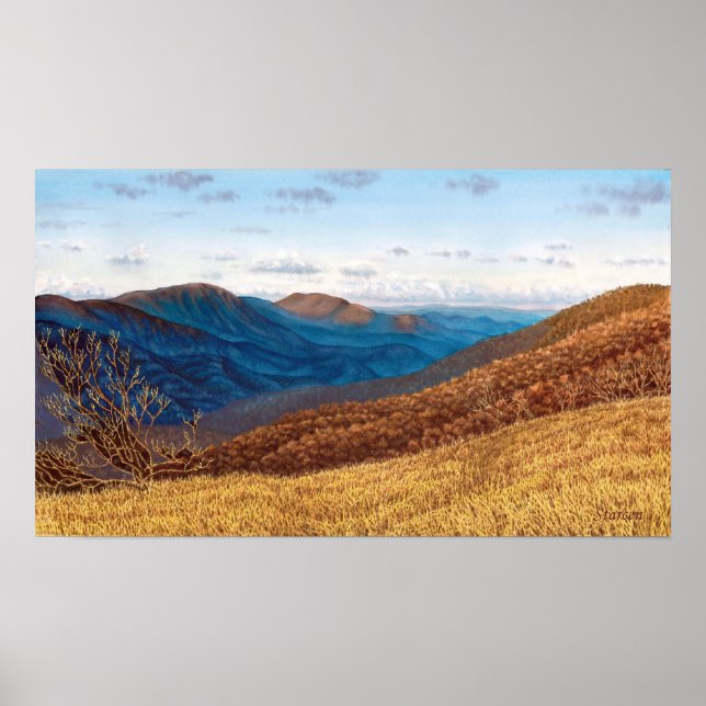 Mitten Prong Wilderness Poster (Framsidan)