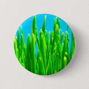 MITTENS - GRAS KNAPP
