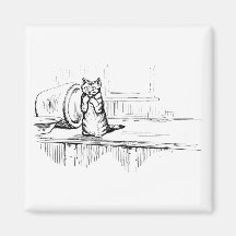 Mittens the Kitten (Scaredy Cat) (Beatrix-Potterna