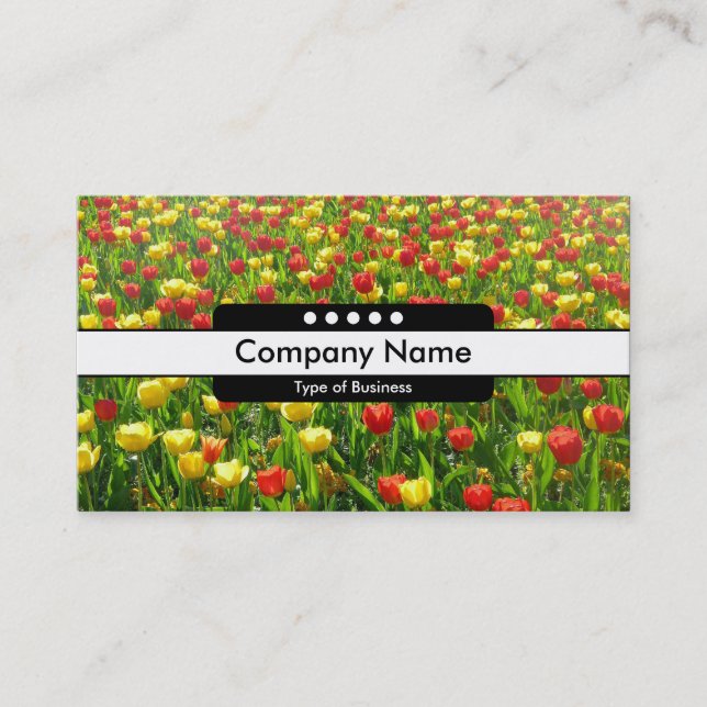 Mittområde 5 Spoter - Tulips II-havet Visitkort (Framsida)