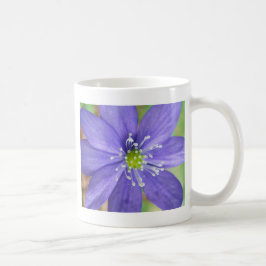 Mittplats för en blå blomma med vitt frimärke kaffemugg