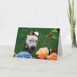 Mitzy, Mariposa, hund med fjäril vingar Kort