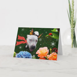 Mitzy the Mariposa, Julhälsningar kort