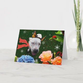 Mitzy the Mariposa, Julhälsningar kort