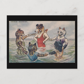 Mixed Bathing - Dog and Cats Postcard Vykort