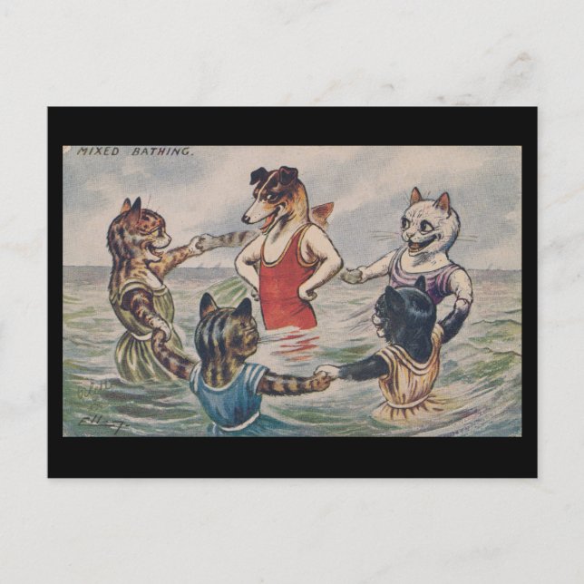 Mixed Bathing - Dog and Cats Postcard Vykort (Framsida)