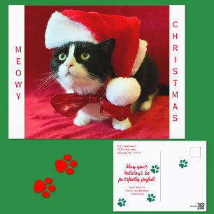 Mjaoig jul Svartvit katt Helg Vykort
