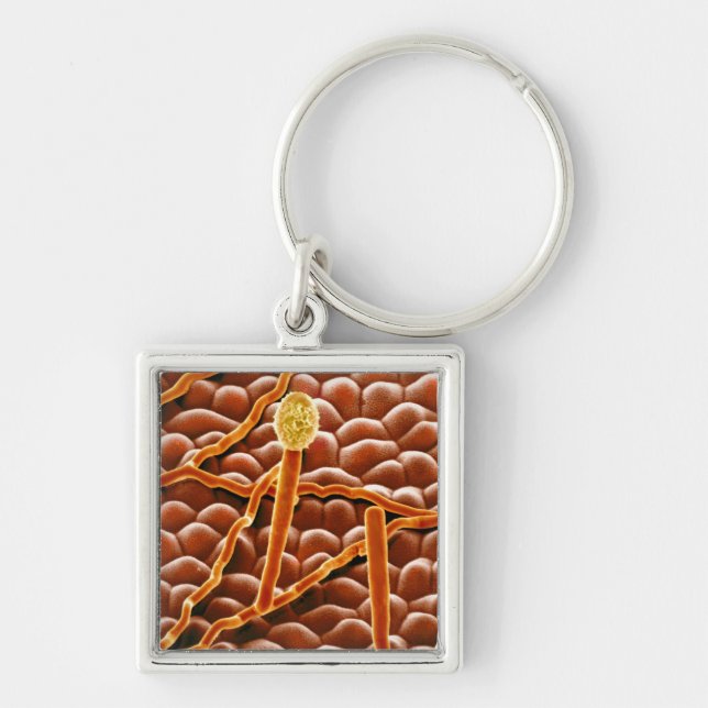 Mjöldaggsvamp i pulverform på julstjärna fyrkantig silverfärgad nyckelring (Framsidan)