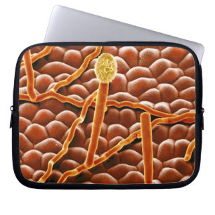 Mjöldaggsvamp i pulverform på julstjärna laptop sleeve