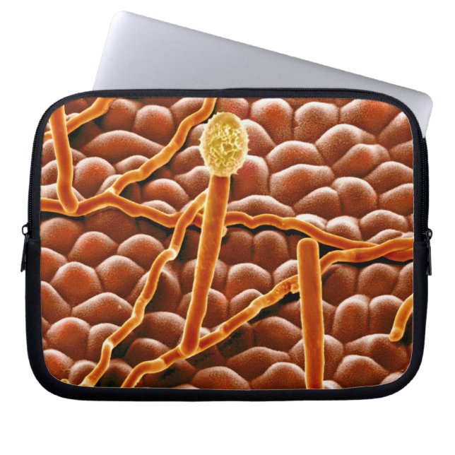 Mjöldaggsvamp i pulverform på julstjärna laptop sleeve (Framsidan)