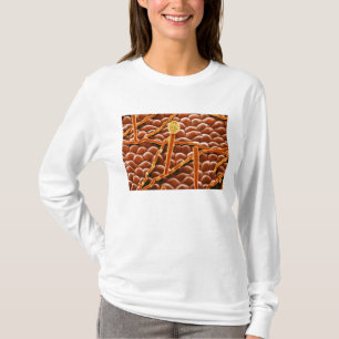 Mjöldaggsvamp i pulverform på julstjärna t shirt