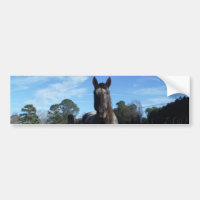 Mjölk Chocolate Brown Horse in Blue
